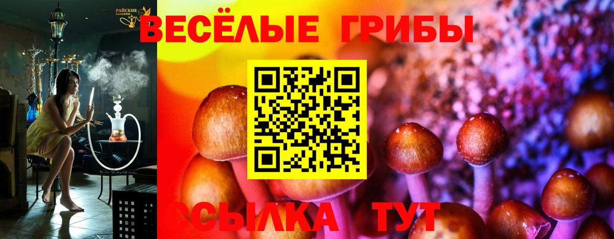Галлюциногенные грибы Cubensis Тулун